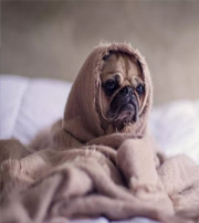 德州有这样的手机号码，留不住钱，你中枪了吗？