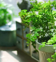 德州专属于你的开运指南，助你鸿运当头福满身！