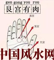 德州这个地方肉越多，财运就越好