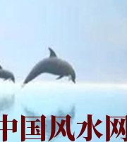 德州做梦梦到这些，是要富裕的征兆！